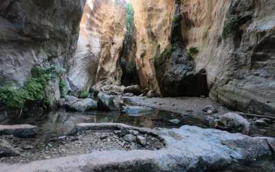 Akamas Tour z Larnaki